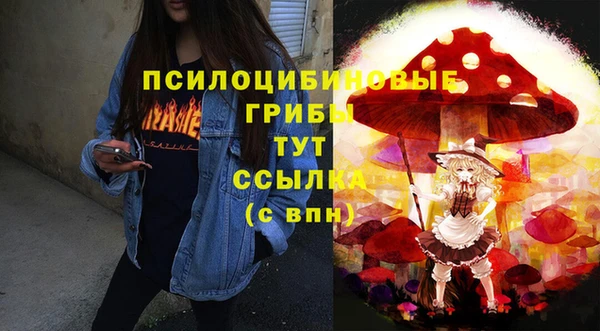 эйфоретик Майский