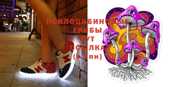эйфоретик Майский