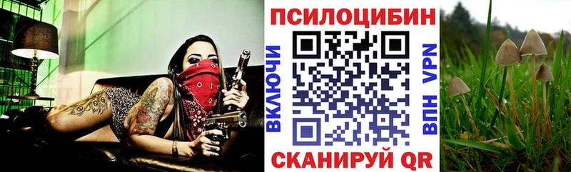 Купить где  Чухлома  Галлюциногенные грибы ЛСД 